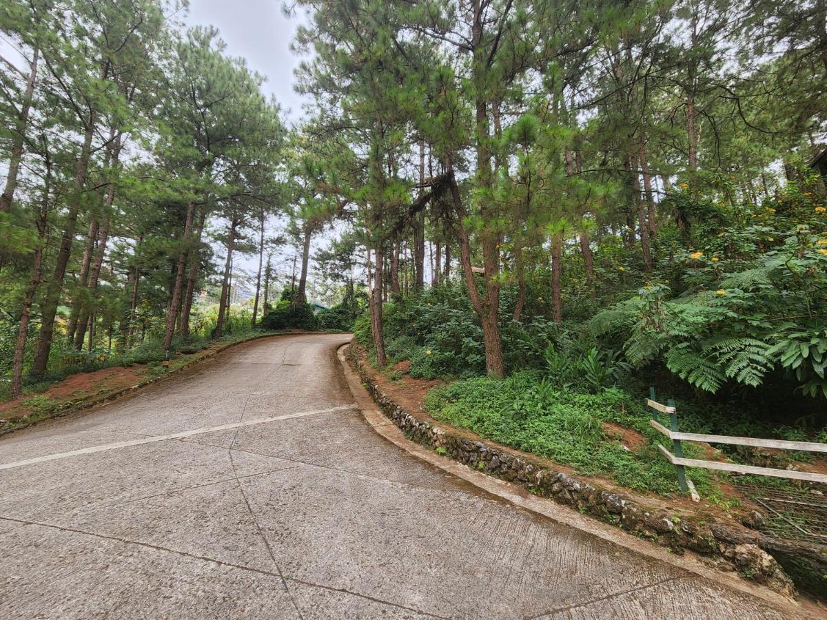 Апартаменты Baguio Hillside Haven Багио Экстерьер фото
